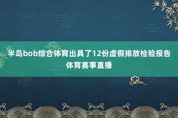 半岛bob综合体育出具了12份虚假排放检验报告体育赛事直播