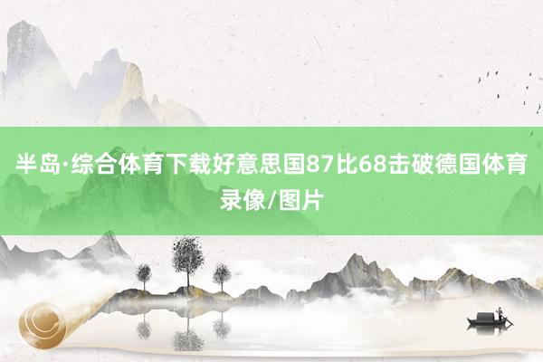 半岛·综合体育下载好意思国87比68击破德国体育录像/图片