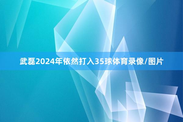 武磊2024年依然打入35球体育录像/图片