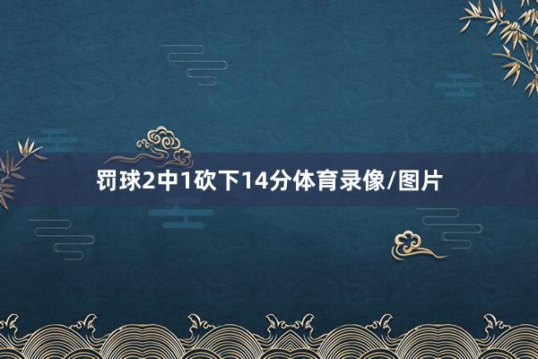 罚球2中1砍下14分体育录像/图片