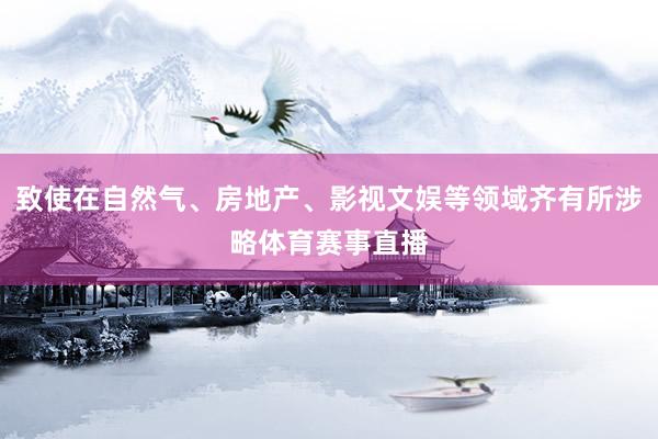 致使在自然气、房地产、影视文娱等领域齐有所涉略体育赛事直播