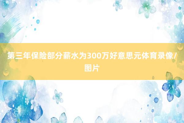 第三年保险部分薪水为300万好意思元体育录像/图片